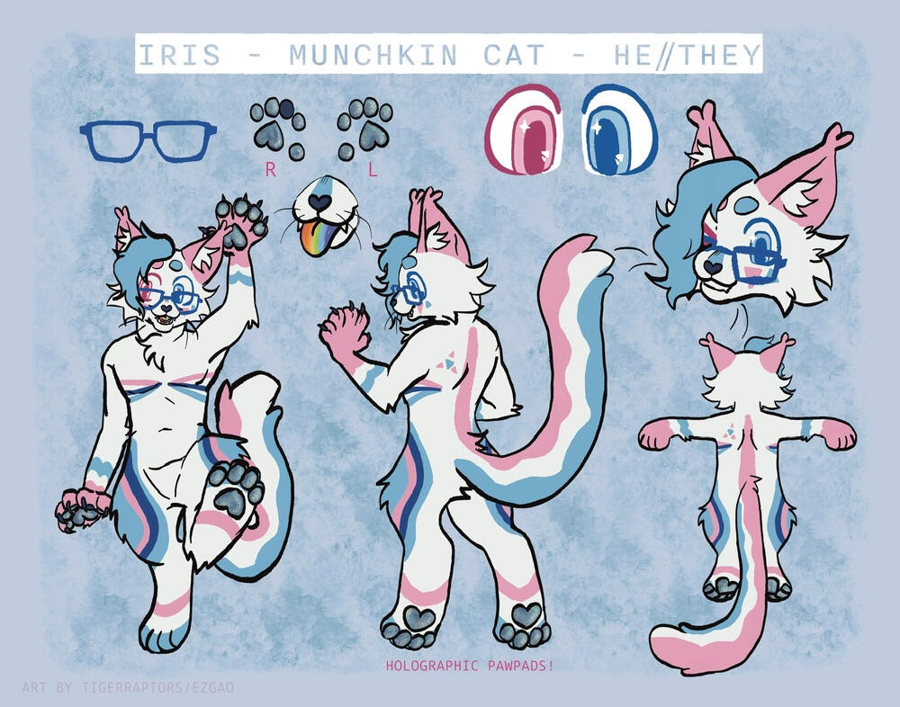 native fish of ohio poster a poster showing 15 native fish species of Ohio